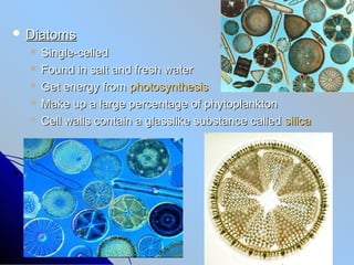  Diatoms
   Single-celled
   Found  in salt and fresh water
   Get energy from photosynthesis
   Make up a large percentage of phytoplankton
   Cell walls contain a glasslike substance called silica
 