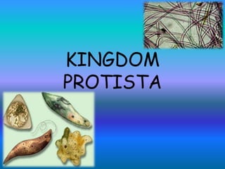 KINGDOM
PROTISTA

 