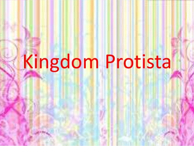 Kingdom protista