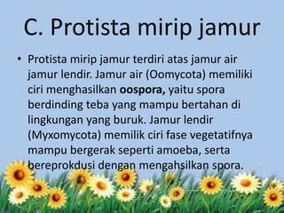 C. Protista mirip jamur
• Protista mirip jamur terdiri atas jamur air
jamur lendir. Jamur air (Oomycota) memiliki
ciri menghasilkan oospora, yaitu spora
berdinding teba yang mampu bertahan di
lingkungan yang buruk. Jamur lendir
(Myxomycota) memilik ciri fase vegetatifnya
mampu bergerak seperti amoeba, serta
bereprokdusi dengan mengahsilkan spora.

 