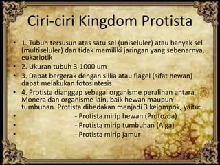 Ciri-ciri Kingdom Protista
• 1. Tubuh tersusun atas satu sel (uniseluler) atau banyak sel
(multiseluler) dan tidak memiliki jaringan yang sebenarnya,
eukariotik
• 2. Ukuran tubuh 3-1000 um
• 3. Dapat bergerak dengan sillia atau flagel (sifat hewan)
dapat melakukan fotosintesis
• 4. Protista dianggap sebagai organisme peralihan antara
Monera dan organisme lain, baik hewan maupun
tumbuhan. Protista dibedakan menjadi 3 kelompok, yaitu:
•
- Protista mirip hewan (Protozoa)
•
- Protista mirip tumbuhan (Alga)
•
- Protista mirip jamur

 