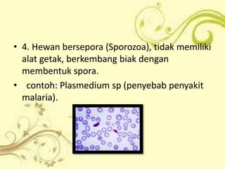 • 4. Hewan bersepora (Sporozoa), tidak memiliki
alat getak, berkembang biak dengan
membentuk spora.
• contoh: Plasmedium sp (penyebab penyakit
malaria).

 