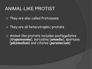 ANIMAL-LIKE PROTIST
 They are also called Protozoans
 They are all heterotrophic protists
 Animal-like protists includes zooflagellates
(trypanosoma), sarcodina (amoeba), sporozoa
(plasmodium) and ciliates (paramecium)
 