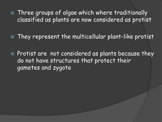  Three groups of algae which where traditionally
classified as plants are now considered as protist
 They represent the multicellular plant-like protist
 Protist are not considered as plants because they
do not have structures that protect their
gametes and zygote
 