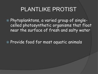 PLANTLIKE PROTIST
 Phytoplanktons, a varied group of single-
celled photosynthetic organisms that float
near the surface of fresh and salty water
 Provide food for most aquatic animals
 