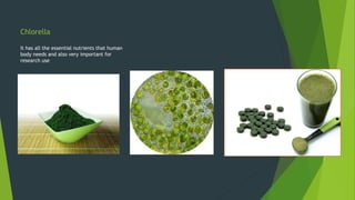 Chlorella
It has all the essential nutrients that human
body needs and also very important for
research use
 