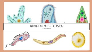 KINGDOM PROTISTA
L N V A L E N T I N E
 