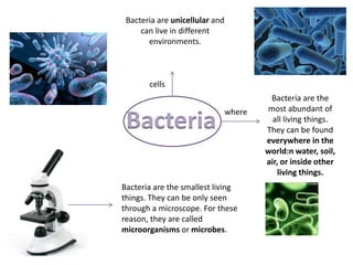 Bacteria are unicellular and
can live in different
environments.

cells

Bacteria

where

Bacteria are the smallest living
things. They can be only seen
through a microscope. For these
reason, they are called
microorganisms or microbes.

Bacteria are the
most abundant of
all living things.
They can be found
everywhere in the
world:n water, soil,
air, or inside other
living things.

 