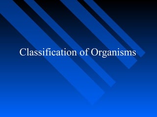 Classification of Organisms 
 