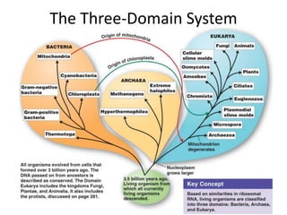 Figure 10.1
The Three-Domain System
 