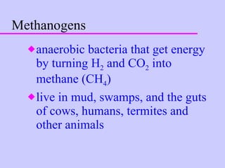 Methanogens anaerobic bacteria that get energy by turning H 2  and CO 2  into methane (CH 4 ) live in mud, swamps, and the guts of cows, humans, termites and other animals   