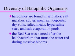 Diversity of Halophilic Organisms halophiles are found in salt lakes, salt marshes, subterranean salt deposits, dry soils, salted meats, hypersaline seas, and salt evaporation pools the Red Sea was named after the halobacterium that turns the water red during massive blooms. 