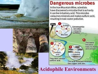 Acidophile Environments 