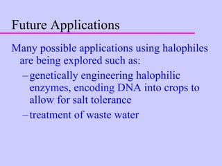 Future Applications Many possible applications using halophiles are being explored such as: genetically engineering halophilic enzymes, encoding DNA into crops to allow for salt tolerance treatment of waste water 