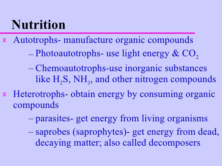 Archaebacteria Get Nutrition - Nutrition Ftempo