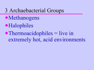 3 Archaebacterial Groups Methanogens  Halophiles Thermoacidophiles = live in extremely hot, acid environments 