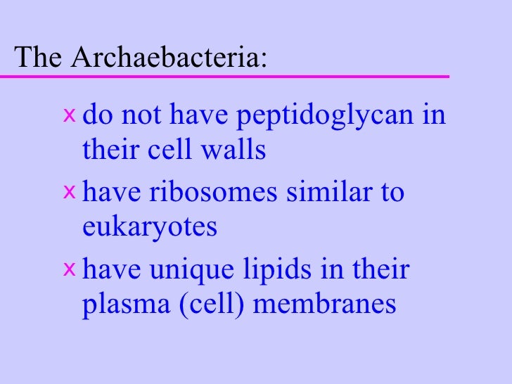 Kingdoms archaebacteria
