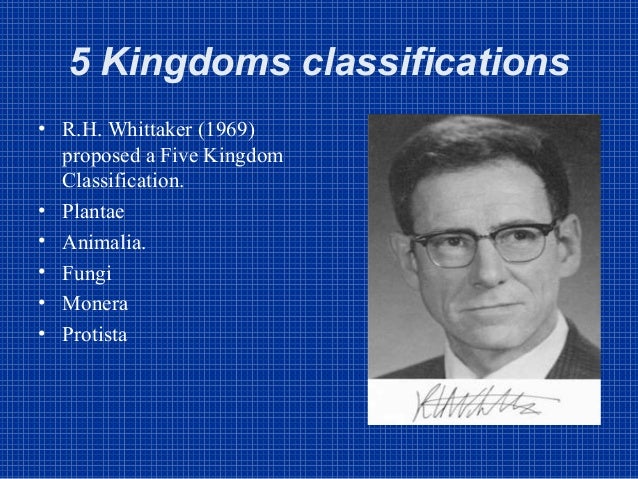 Kingdoms of classification