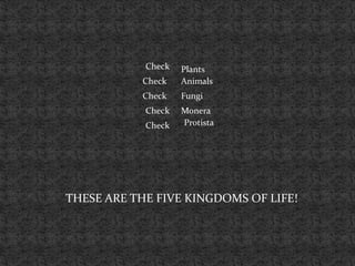 Check   Plants
           Check    Animals
           Check    Fungi
            Check   Monera
            Check   Protista




THESE ARE THE FIVE KINGDOMS OF LIFE!
 