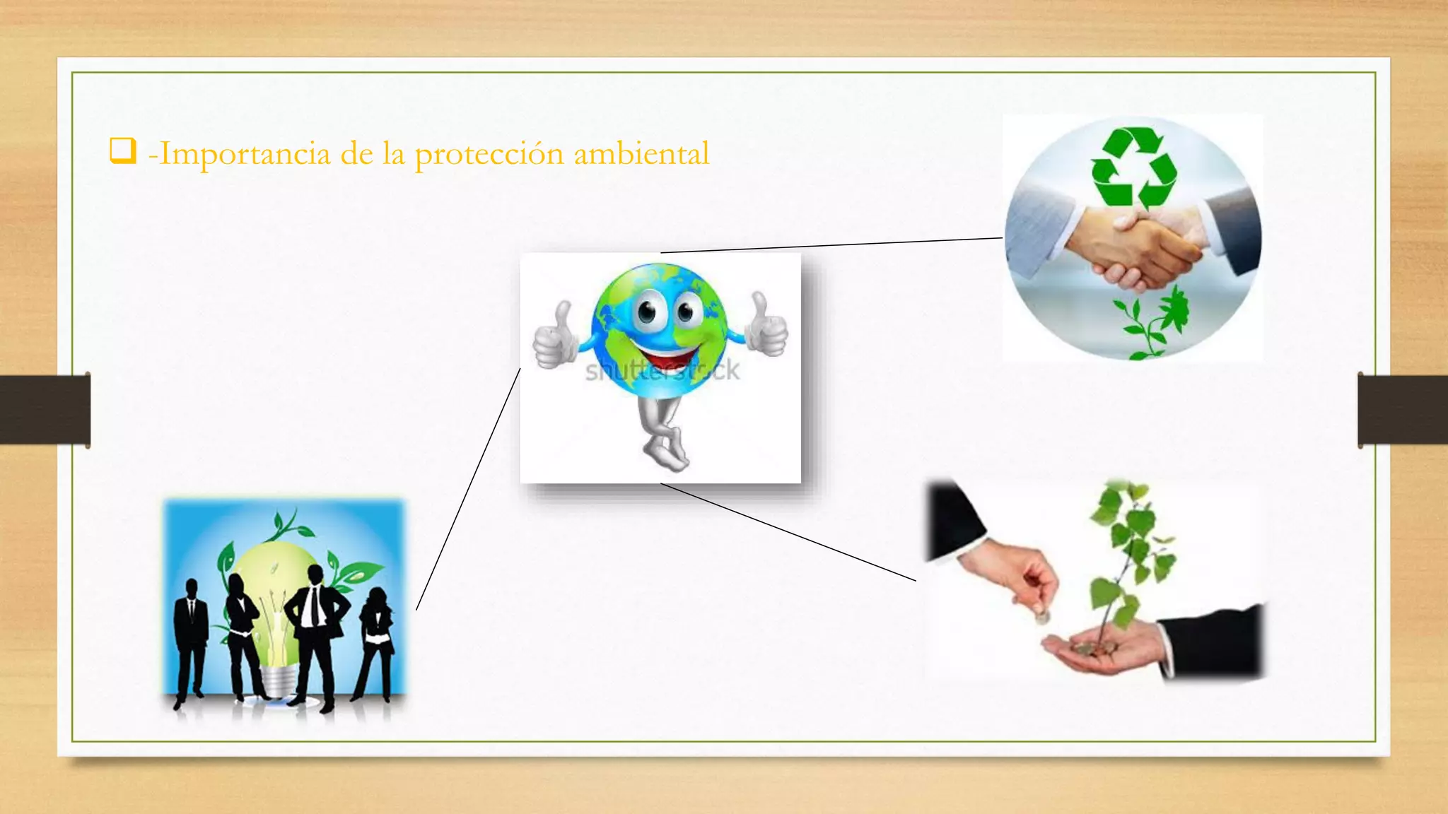  -Importancia de la protección ambiental
 