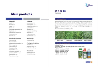 2, 4-D
Herbicide
Systemic herbicide used in the control of broadleaf weeds. Salts are readily absorbed by
the roots, whilst esters are readily absorbed by the foliage. Post-emergence control of
annual and perennial broad-leaved weeds in cereals, maize, rice, sorghum, sugarcane,
grassland, established turf, grass seed crops, orchards (pome fruit and stone fruit),
cranberries, asparagus, forestry, and on non-crop land (including areas adjacent to
water).
Recommended dosage: 0.3~2.3 kg a.i./ha
INTRODUCTION
Technical: 98% TC
Formulation: 860 g/L SL, 720 g/L SL (salt); 900 g/L EC, 72% EC (ester)
Mixture products:
● 2, 4-D + Nicosulfuron 40% OD
● 2, 4-D + Florasulam 459 g/L SE
● 2, 4-D + Glyphosate 32% SL
● 2, 4-D + Picloram 27% SL
● 2, 4-D + Dicamba 41% SL
12Product
Weeds in maize Weeds in rice Weeds in sugarcane Weeds in grassland
TC AND FORMULATION
Main products
Herbicide
2,4-D / 12
Atrazine / 13
Diquat / 14
Diuron / 15
Glufosinate-ammonium / 16
Glyphosate / 17
Halosulfuron-methyl / 18
Nicosulfuron / 19
Propanil / 20
Insecticide/Acaricide
Abamectin / 30
Acetamiprid / 31
Bacillus thuringiensis (Bt) / 32
Chlorfenapyr / 33
Chlorpyrifos / 34
Clothianidin / 35
Cypermethrin / 36
Emamectin benzoate / 37
Lambda-cyhalothrin / 38
Spirodiclofen / 39
Thiamethoxam / 40
Fungicide
Azoxystrobin / 21
Chlorothalonil / 22
Copper oxychloride / 23
Cymoxanil / 24
Iprodione / 25
Kresoxim-methyl / 26
Mancozeb / 27
Propiconazole / 28
Pyraclostrobin / 29
Nematocide
Fosthiazate / 41
Plant growth regulator
Ethephon / 42
Gibberellic acid / 43
S-Abscisic acid / 44
Rodenticide
Brodifacoum / 45
Bromadiolone / 46
 