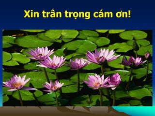 Xin trân trọng cám ơn!
 