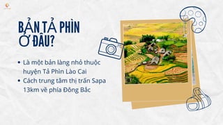 BẢN TẢ PHÌN
Ở ĐÂU?
Là một bản làng nhỏ thuộc
huyện Tả Phìn Lào Cai
Cách trung tâm thị trấn Sapa
13km về phía Đông Bắc
 
