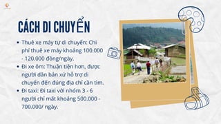 CÁCH DI CHUYỂN
Thuê xe máy tự di chuyển: Chi
phí thuê xe máy khoảng 100.000
- 120.000 đồng/ngày.
Đi xe ôm: Thuận tiện hơn,...