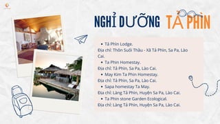 TẢ PHÌN
NGHỈ DƯỠNG
Tả Phìn Lodge.
Ta Phin Homestay.
May Kim Ta Phin Homestay.
Sapa homestay Ta May.
Ta Phin stone Garden E...