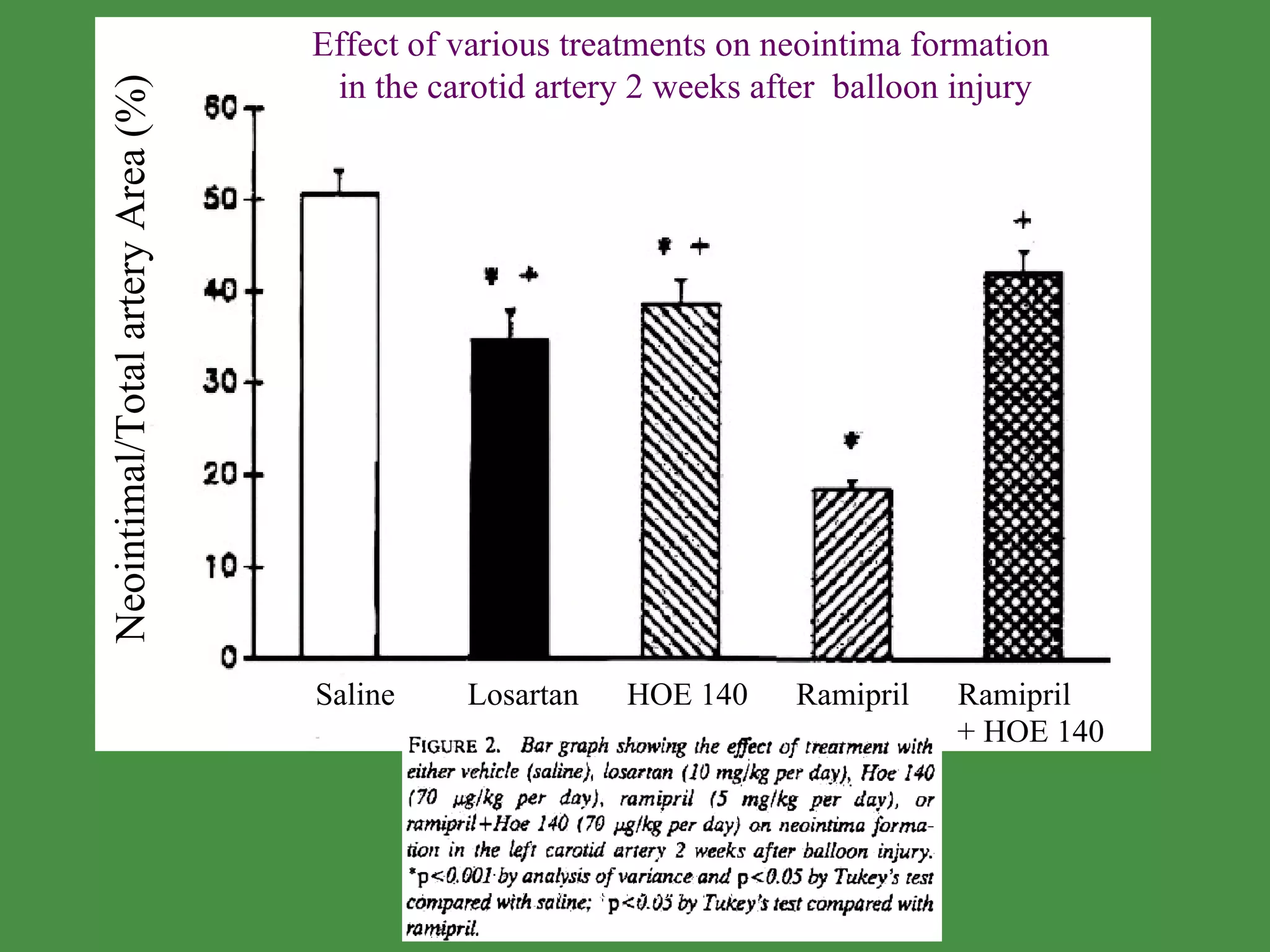 Neointimal/Total artery Area (%) Saline  Losartan  HOE 140  Ramipril  Ramipril  + HOE 140 Effect of various treatments on neointima formation  in the carotid artery 2 weeks after  balloon injury www.freelivedoctor.com 