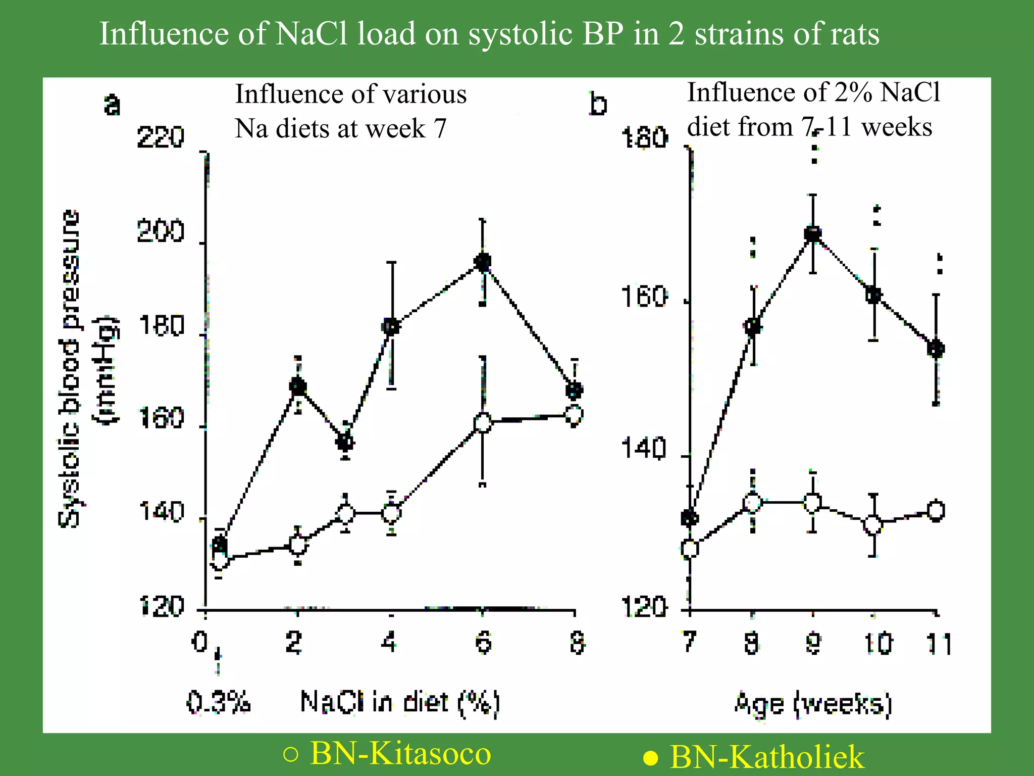 ○  BN-Kitasoco ●  BN-Katholiek Influence of NaCl load on systolic BP in 2 strains of rats Influence of various  Na diets at week 7 Influence of 2% NaCl  diet from 7-11 weeks www.freelivedoctor.com 