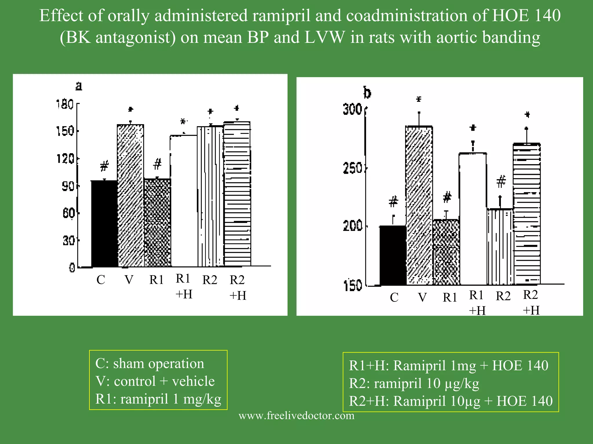 Blood Pressure (mmHg) LV Weight (mg/100gBW) R2 R1 V C R1 +H R2 +H R2 R1 V C R1 +H R2 +H Effect of orally administered ramipril and coadministration of HOE 140 (BK antagonist) on mean BP and LVW in rats with aortic banding C: sham operation V: control + vehicle R1: ramipril 1 mg/kg R1+H: Ramipril 1mg + HOE 140 R2: ramipril 10 µg/kg R2+H: Ramipril 10µg + HOE 140 www.freelivedoctor.com 