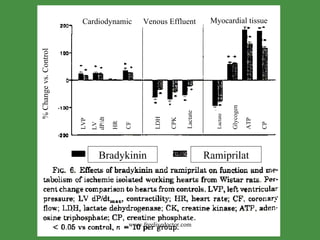 LVP LV  dP/dt HR CF LDH CPK Lactate Lactate Glycogen ATP CP Bradykinin Ramiprilat % Change vs. Control Cardiodynamic Venous Effluent Myocardial tissue www.freelivedoctor.com 