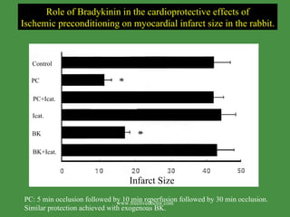 Control PC PC+Icat. Icat. BK+Icat. BK Role of Bradykinin in the cardioprotective effects of Ischemic preconditioning on myocardial infarct size in the rabbit. PC: 5 min occlusion followed by 10 min reperfusion followed by 30 min occlusion. Similar protection achieved with exogenous BK. Infarct Size www.freelivedoctor.com 