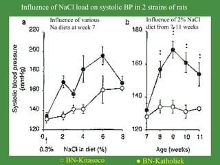 ○  BN-Kitasoco ●  BN-Katholiek Influence of NaCl load on systolic BP in 2 strains of rats Influence of various  Na diets at week 7 Influence of 2% NaCl  diet from 7-11 weeks www.freelivedoctor.com 