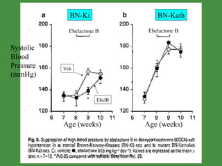 Ebelactone B Ebelactone B Systolic Blood  Pressure (mmHg) Age (weeks) Age (weeks) BN-Ki BN-Kath Veh EbelB www.freelivedoctor.com 