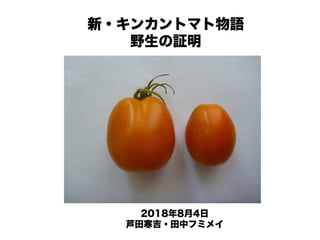 新 キンカントマト物語