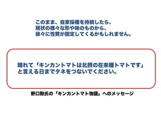 晴れて「キンカントマトは北摂の在来種トマトです」
と言える日までタネをつないでください。
このまま、自家採種を持続したら、
現状の様々な形や味のものから、
徐々に性質が固定してくるかもしれません。
野口勲氏の「キンカントマト物語」へのメッセージ
 