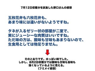 五枚花弁も六枚花弁も、
あまり味には違いがないようですね。
タネが入るゼリー状の部屋が二室で、
実にジューシーな肉質はいいですね。
ただ味の方は、酸味も甘味もあまりないので、
生食用としては物足りません。
7月12日収穫分を試食した野口さんの感想
そのとおりです。水っぽい味でした。
しかし、8月2日収穫分では酸味も甘味も旨味も
強くなっているように思える。
（フミメイ感想）
 