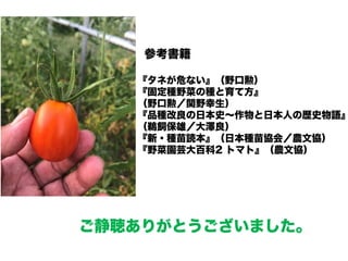 新 キンカントマト物語 新 キンカントマト物語