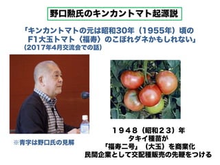 新 キンカントマト物語 新 キンカントマト物語