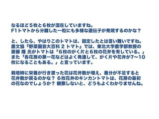 なるほど５枚と６枚が混在していますね。
F1トマトから分離した一粒にも多様な遺伝子が発現するのかな？
と、したら、やはりこのトマトは、固定したとは言い難いですね。
農文協『野菜園芸大百科 2 トマト』では、東北大学農学部教授の
斎藤 隆 氏がトマトは「６枚のがく片と６枚の花弁を有している。」
また「各花房の第一花などはよく発達して、がく片や花弁が7～10
枚になることもある。」と言っています。
栽培時に栄養が行き渡った花は花弁数が増え、養分が不足すると
花弁数が戻るのかな？ ６枚花弁のキンカントマトは、花房の最初
の花なのでしょうか？ 観察しないと、どうもよくわかりませんね。
 