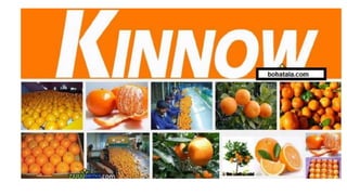 Kinnow