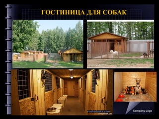 ГОСТИНИЦА ДЛЯ СОБАК
Company Logo
 