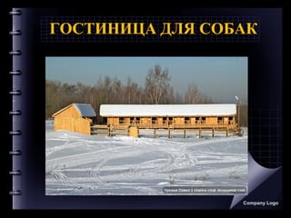 ГОСТИНИЦА ДЛЯ СОБАК
Company Logo
 