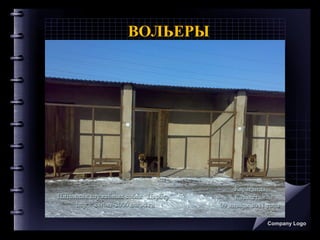 ВОЛЬЕРЫ
Company Logo
 