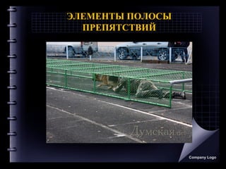 ЭЛЕМЕНТЫ ПОЛОСЫ
ПРЕПЯТСТВИЙ
Company Logo
 