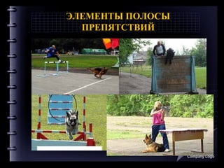 ЭЛЕМЕНТЫ ПОЛОСЫ
ПРЕПЯТСТВИЙ
Company Logo
 