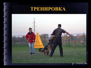 ТРЕНИРОВКА
Company Logo
 