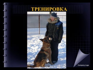 ТРЕНИРОВКА
Company Logo
 